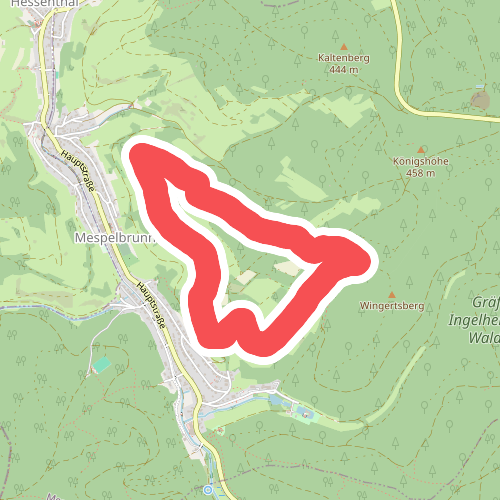 Nordic Walking 2 Rot Mespelbrunn