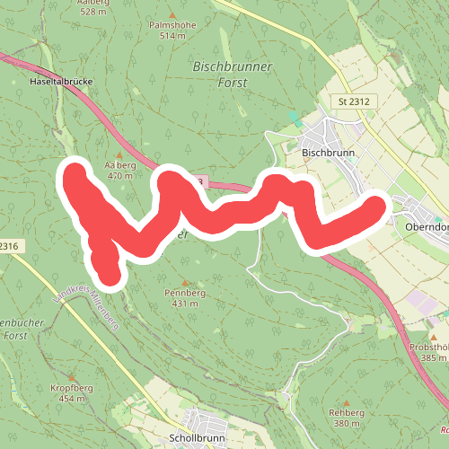 Ortswanderweg Bischbrunn 5