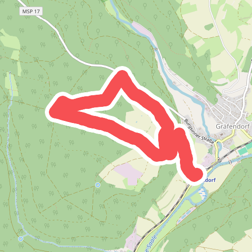 Rote Schnepfe, Gräfendorf