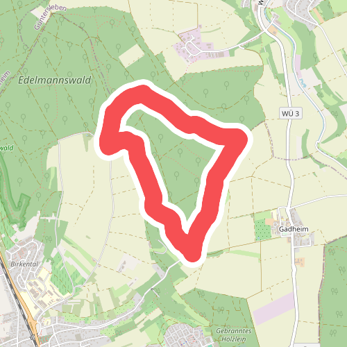 Eichhörnchen im Edelmannswald