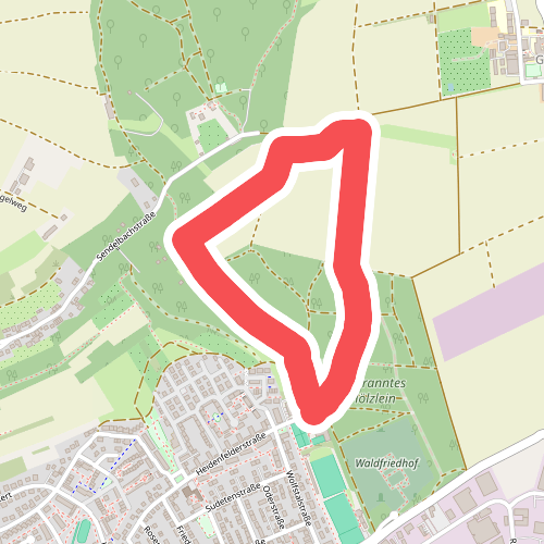 Nordic Walking "am gebrannten Hölzlein"