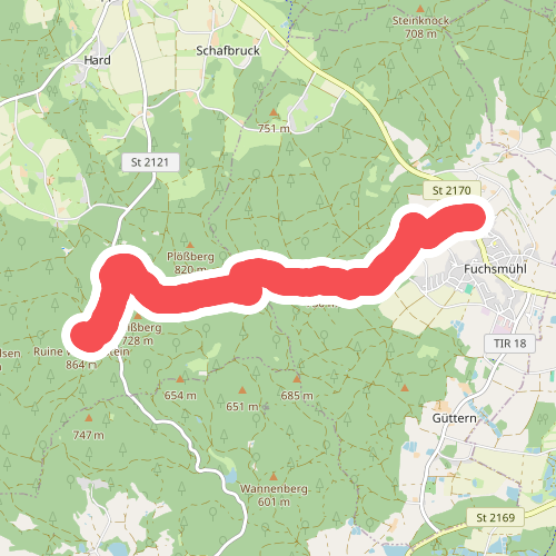 Fuchsmühl-Ruine Weißenstein