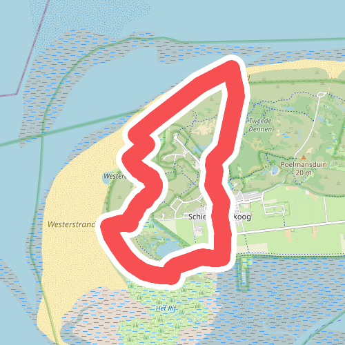 Winterwandeling door duinen, strand en bos op Schiermonnikoog 