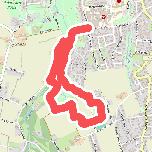 VitalWanderWelt - Perspektive