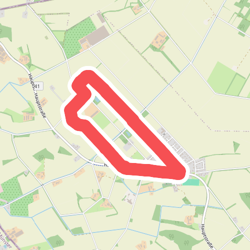 TERRA.track "Schweger Wald"