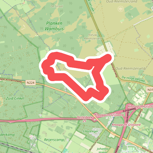 Hardlooproute Planken Wambuis, vlak bij Ede