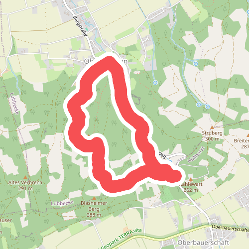 1 Hüllhorst-Oberbauernschaft