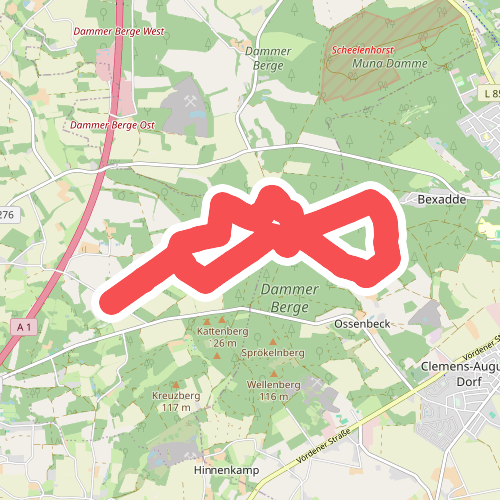 Nordic-Walking-Runde 9