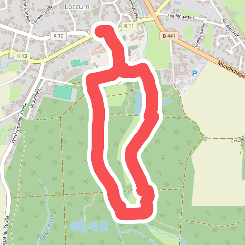 Weg 2 - grün - Wanderung im Loccumer Klosterwald
