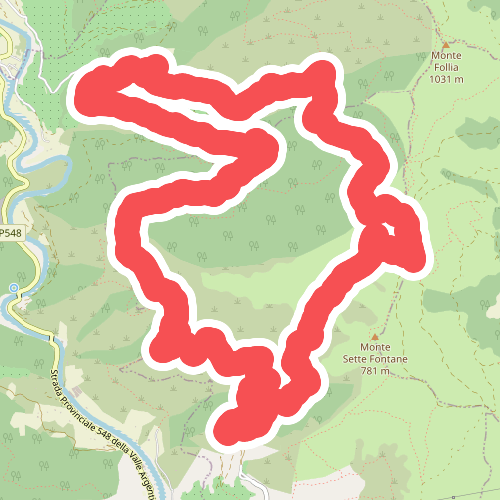 Anello dell'Ubago di Castellaro