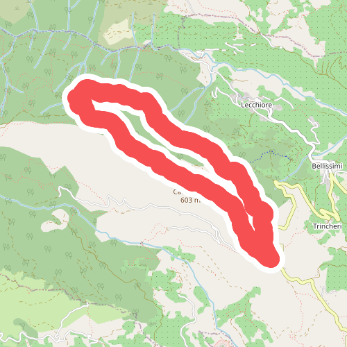 Anello di S. Brigida