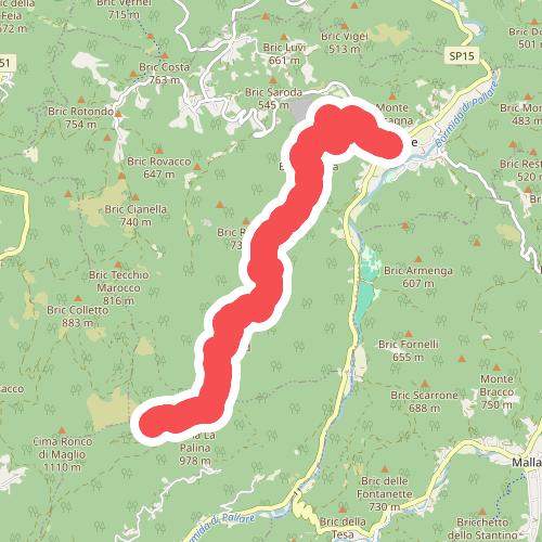 Pallare - Ronco di Maglio