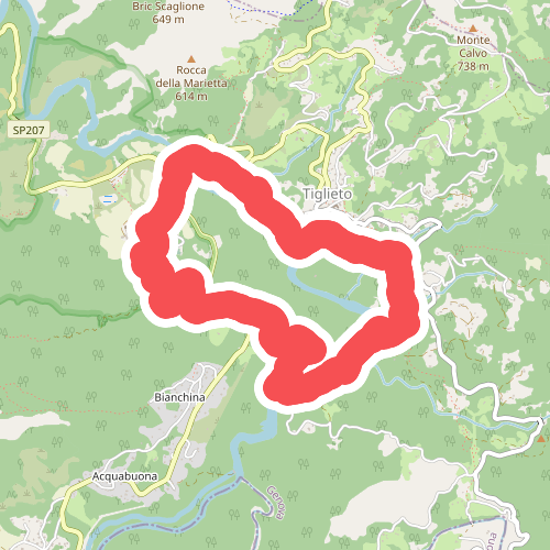 Anello della Badia di Tiglieto