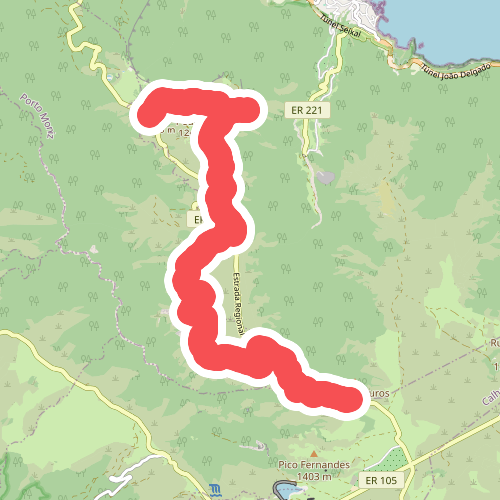 PR 13 - Vereda do Fanal