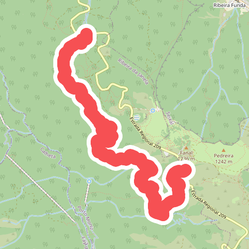 PR 14 - Levada dos Cedros