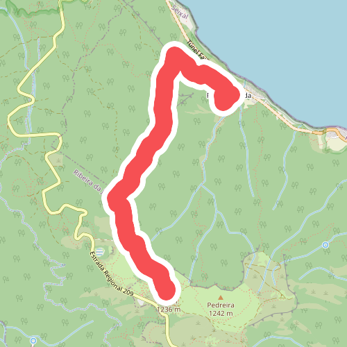 Vereda da Ribeira Funda