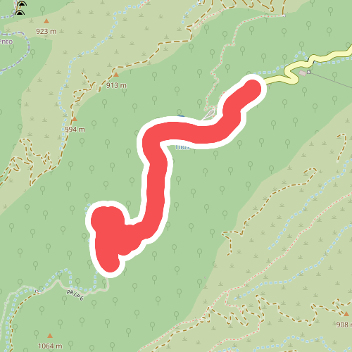 Sendero Autoguiado - Un balcón atravesado entre las brumas