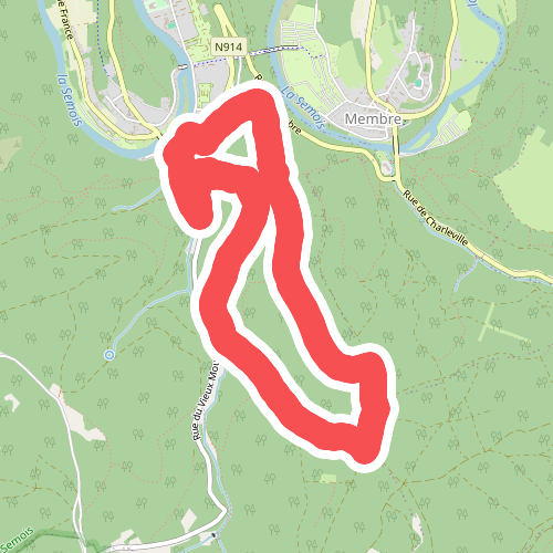 Le Chêne à l'Image