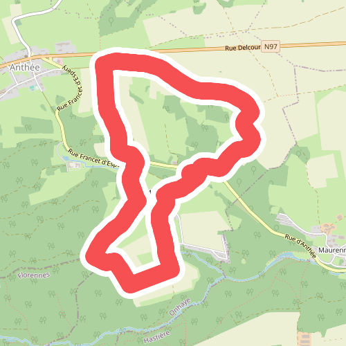 Belle Saule - Les Salinges