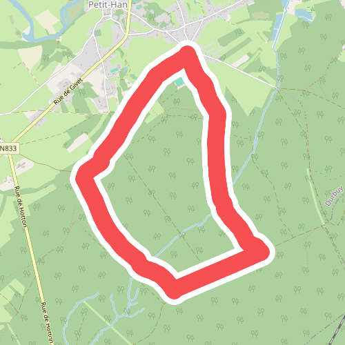 7. Chêne à l'image