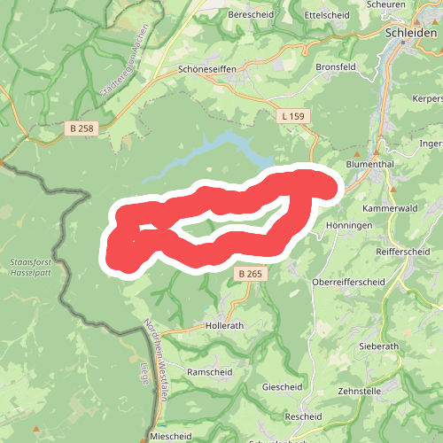 EifelSchleife Waldkapelle