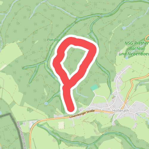 Eifelschleife Büllinger Hardt