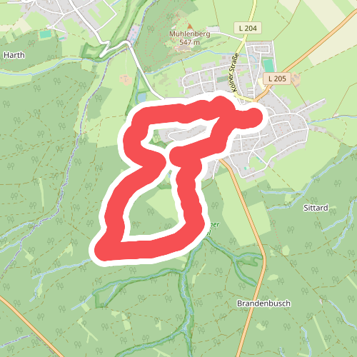 EifelSchleife Jägerpfad