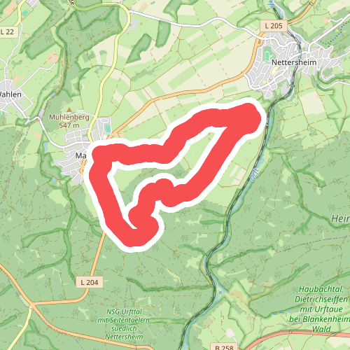 EifelSpur Silberschatz