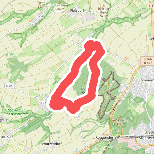 EifelSchleife Eickser Busch