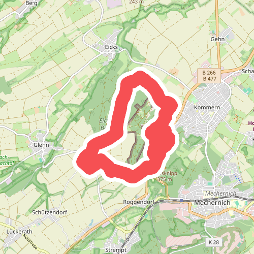 EifelSchleife Vom Mühlensee zum Eifelblick