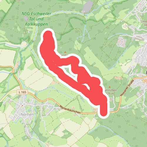 Bad Münstereifel 11