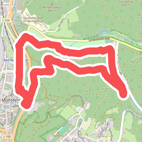 EifelSchleife Burgenblick