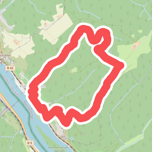 Ha1 - Rundwanderweg "Von Weinreben zur Rheinsicht"
