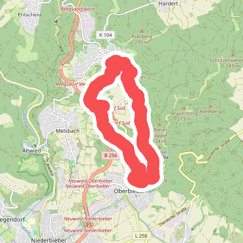 Rundwanderweg Rengsdorf 4