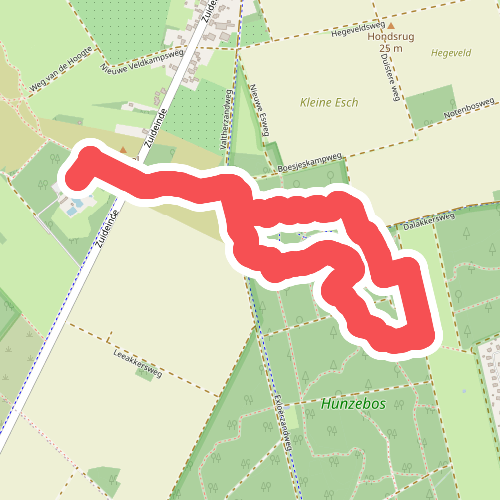 Sabeltandtijgerspoor