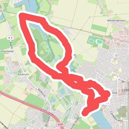 Rundweg A2 Windmühlenbruch