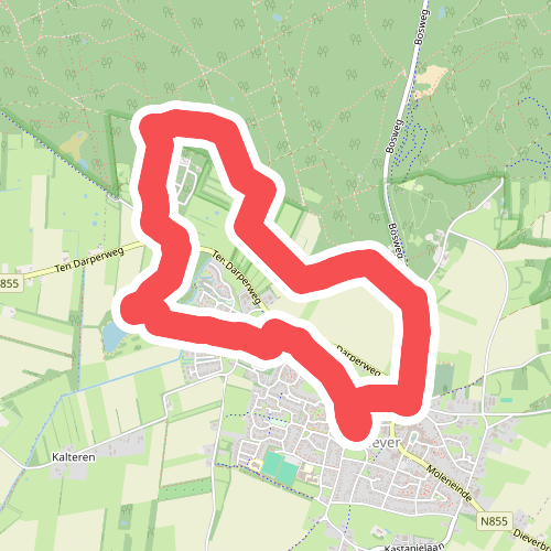 Diever Ommetje Midzomernachtdroom