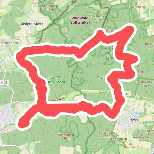 [A8] im Stadtwald Neheim