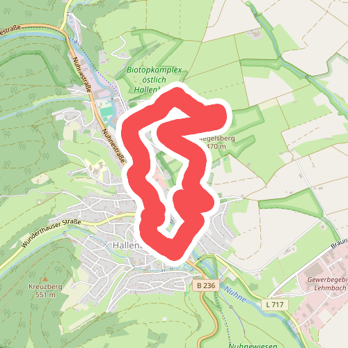 Hallenberg Rundweg H1 Siegelsbergweg