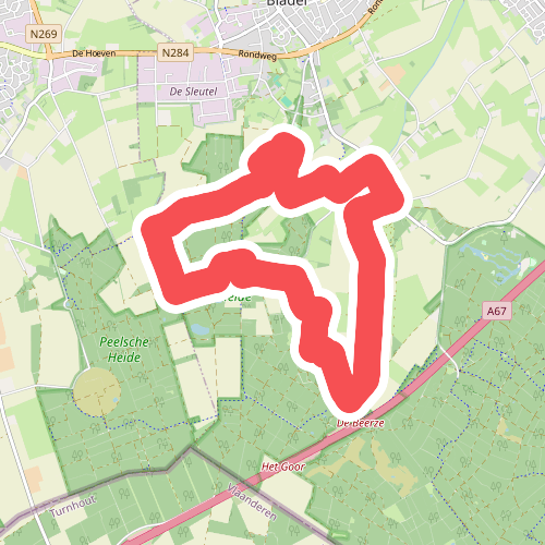 Wandelroute Heksenboom