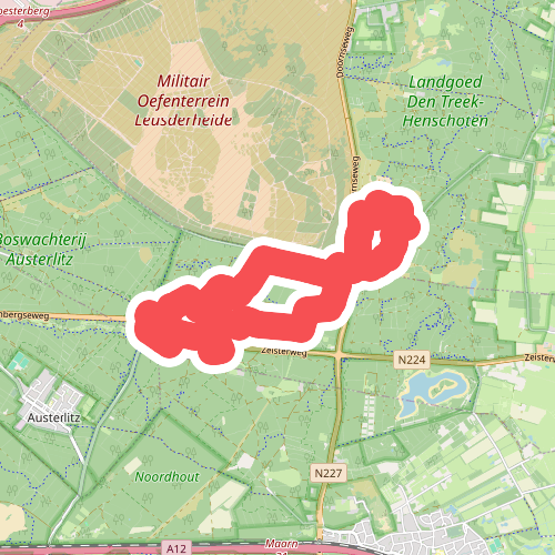 Wandelen door de bossen van de Utrechtse Heuvelrug