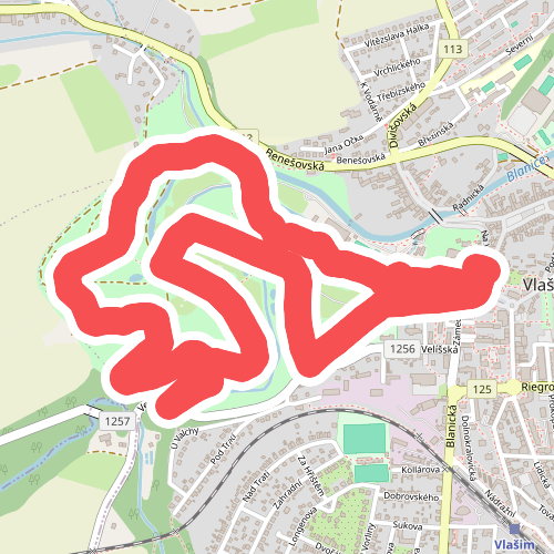 NS Vlašimským zámeckým parkem