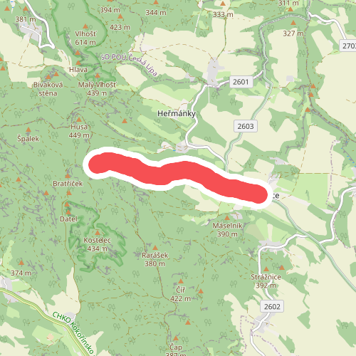 [Ž] Dřevčice - U Martinské stěny