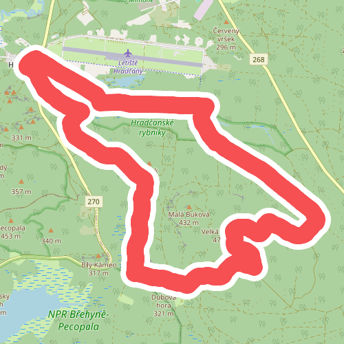 [M] NS okruh Velká Buková