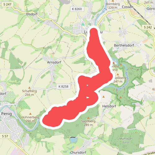 Einmal Amerika und zurück