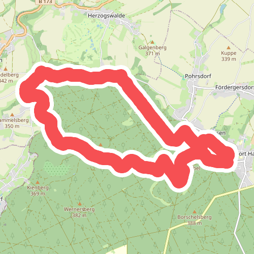 Erdgeschichte entdecken im Tharandter Wald