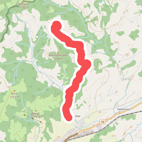 Wittenschwändi - Schwandacher