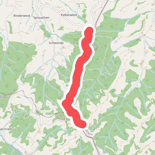 Dürschwändiwald - Ahorn