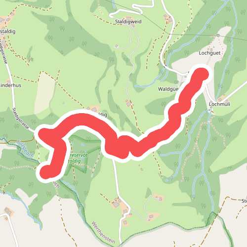 Dünnhirs - Chlosterwald
