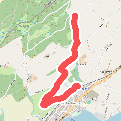 Merlischachen - Forenmoos